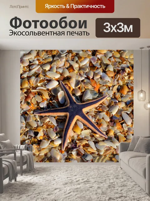 Фотообои Морская звезда и снарядов