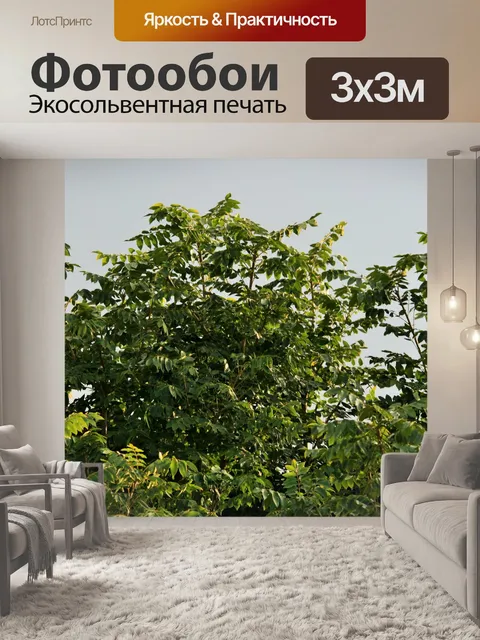 Фотообои мыс ясень листва
