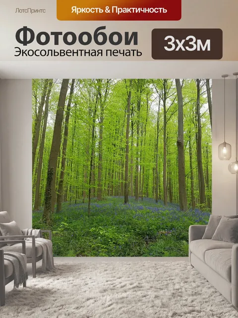 Фотообои Лес