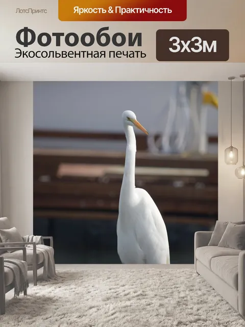 Фотообои Большая белая цапля