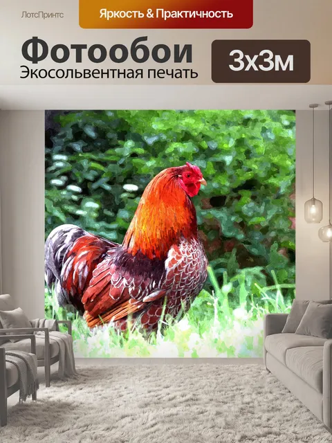 Фотообои Курица, Куриная акварельная живопись
