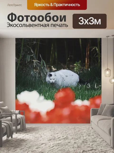 Фотообои Цветы