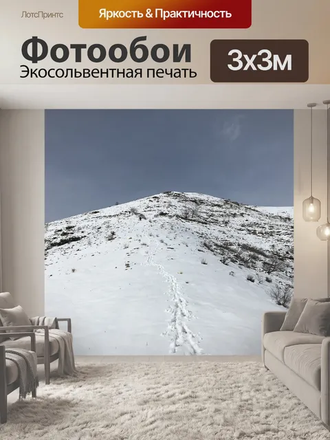Фотообои Монте тыквы