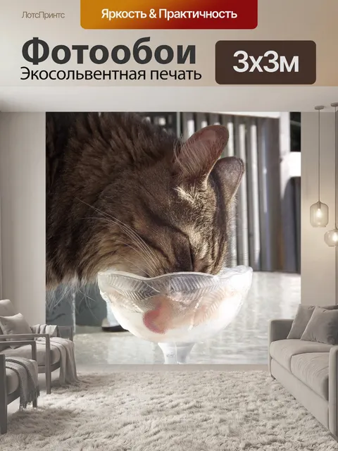 Фотообои Кошка лизать чаши