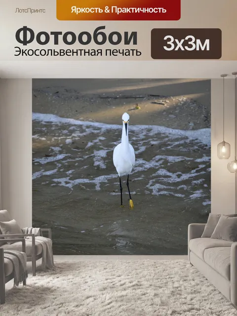 Фотообои Снежная белая цапля