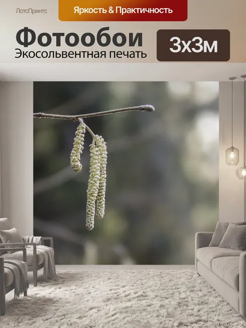 Фотообои Березы семена