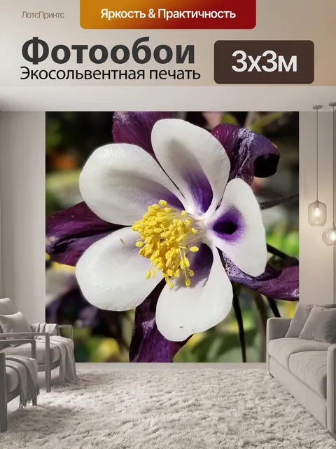 Фотообои Цветок