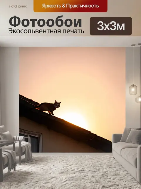 Фотообои кот, запускающийся с крыши дома, на фоне яркого заката