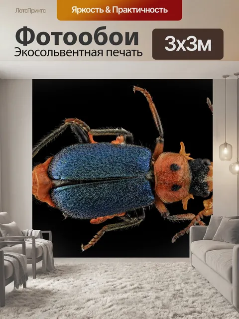 Фотообои жук