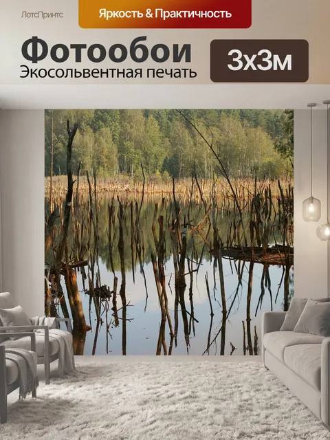 Фотообои Деревья