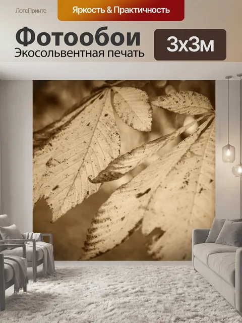 Фотообои Осенние листья
