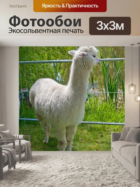 Фотообои Белый альпаки