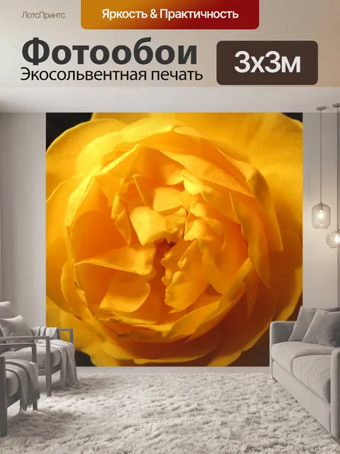 Фотообои Роуз