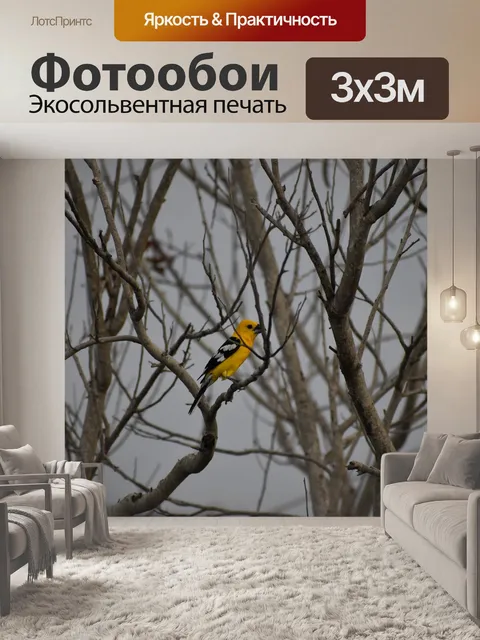 Фотообои Птицы