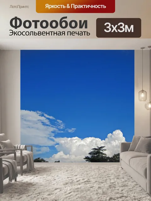 Фотообои белое облако против голубого неба