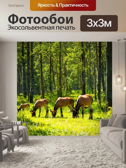 Фотообои лес с дикими животными, пасущимися в солнечных лучах и среди лесного пейзажа