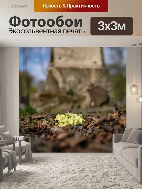 Фотообои Дикая примула