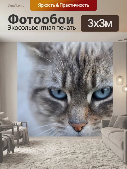 Фотообои Кошка