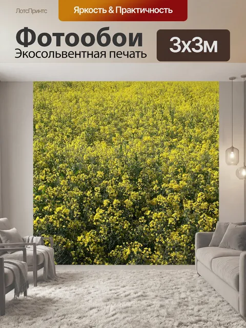 Фотообои Рапс