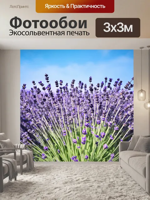 Фотообои светлый фон, с полем цветущей лаванды и голубым небом
