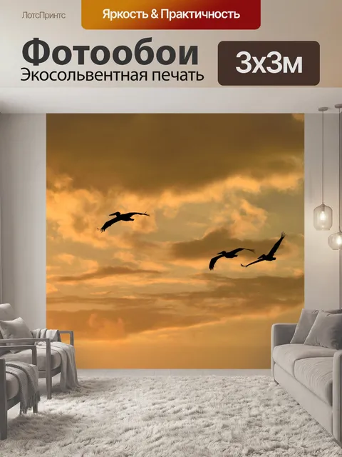 Фотообои Пеликан Полет над рекой
