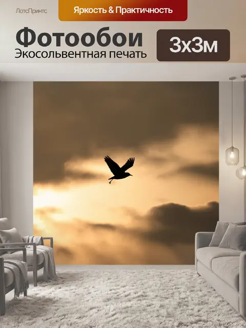 Фотообои птица, кружась в облаках, с подсветкой от заката, в технике фотографии с использованием контраста света и тени
