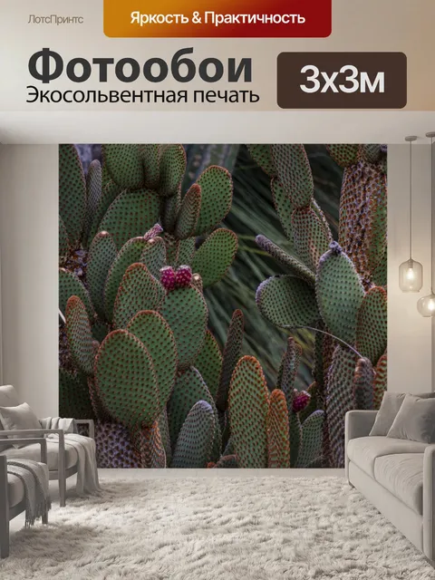 Фотообои Растения Кактус опунция