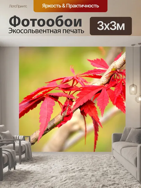 Фотообои Красный клен