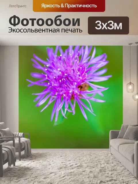 Фотообои цветок чертополоха