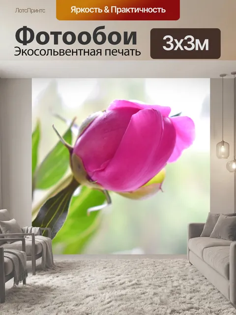 Фотообои Пион