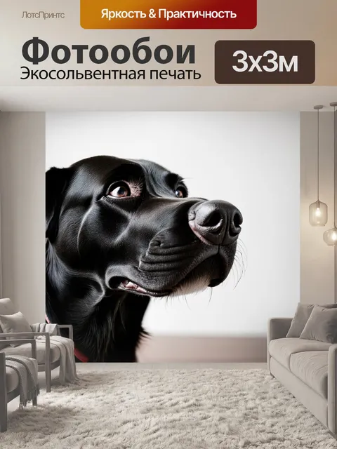 Фотообои Макросъемка носа черной собаки с четкой текстурой
