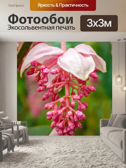 Фотообои розовый тропический цветок