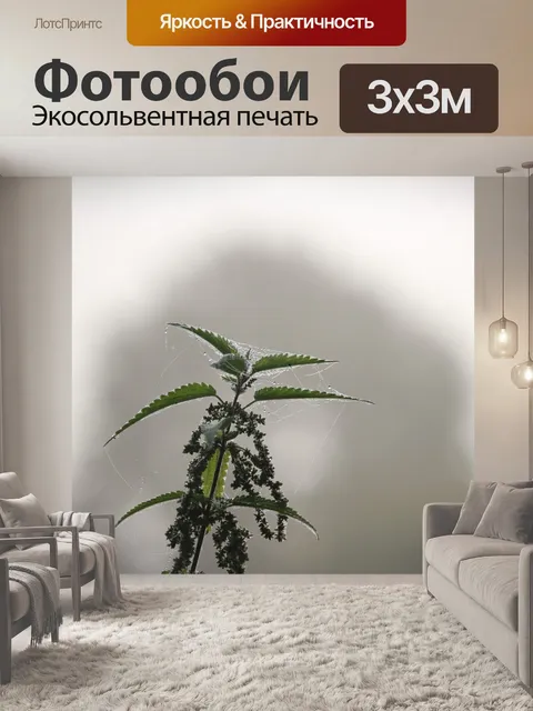 Фотообои Падение