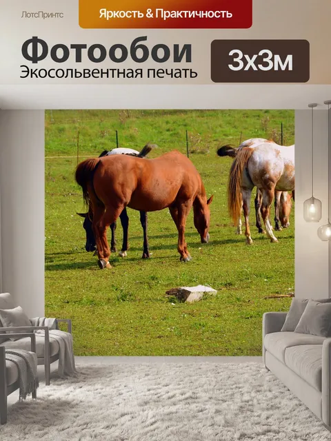 Фотообои Лошади