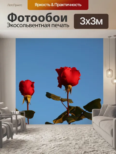 Фотообои Rose