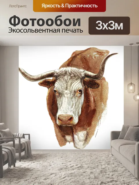 Фотообои Голова коровы