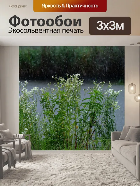 Фотообои Полевой цветок