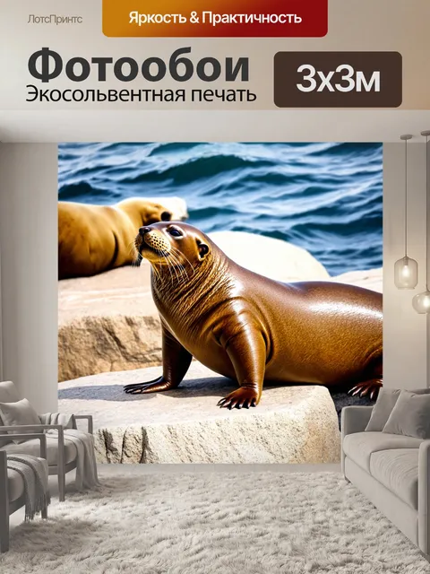 Фотообои животные, забавные морские львы на скалах