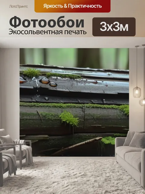 Фотообои грибок на влажной древесине в бревенчатом лесу