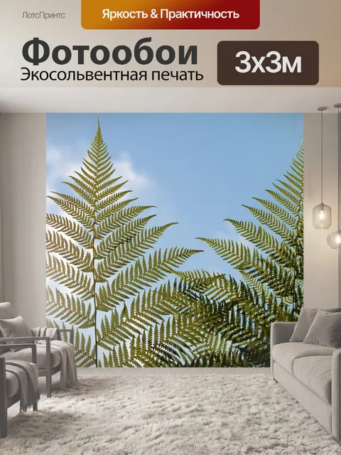 Фотообои Древовидный папоротник