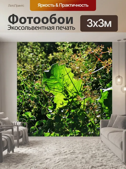 Фотообои дикий ревень лист