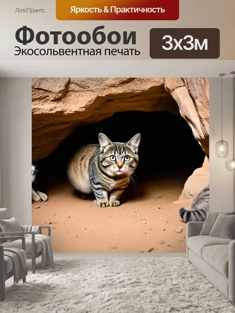Фотообои коты, исследующие загадочную пещеру