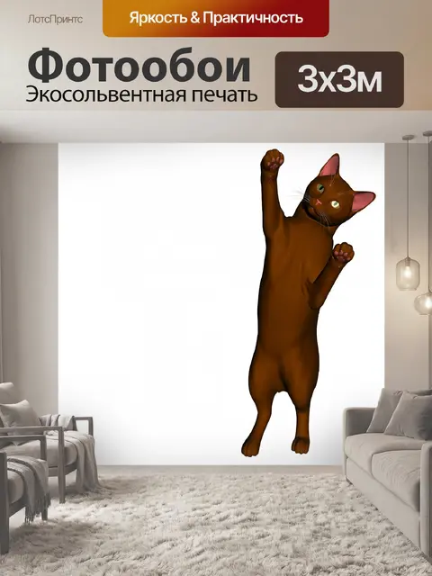 Фотообои кот достижения