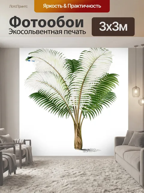 Фотообои Винтажная пальмовая иллюстрация