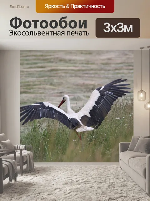 Фотообои Природа