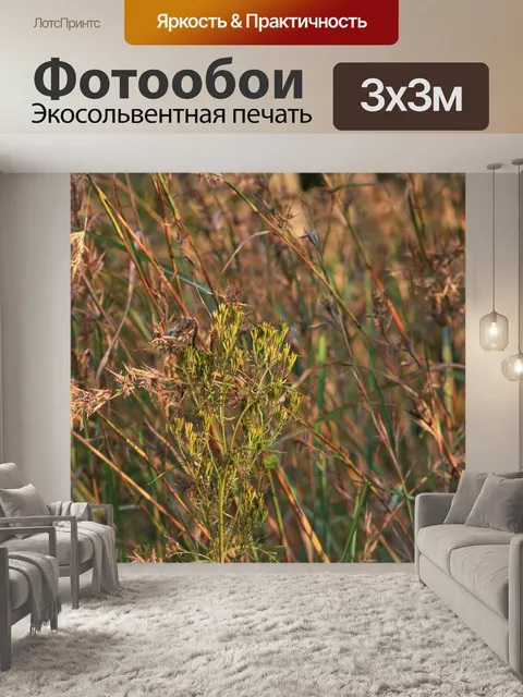 Фотообои смешанная трава и сорняки