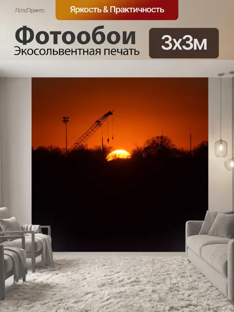 Фотообои Силуэт