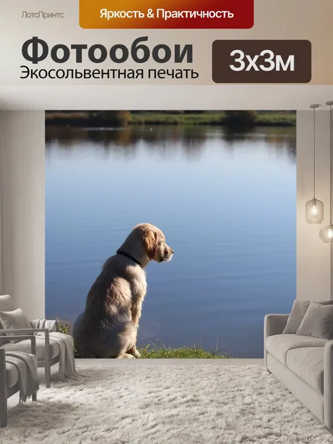 Фотообои Собака