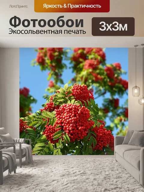 Фотообои Осень