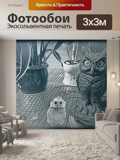 Фотообои Черная белая сова